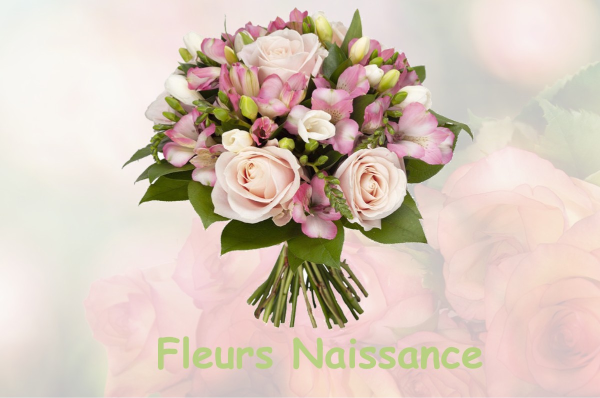 fleurs naissance VESCLES