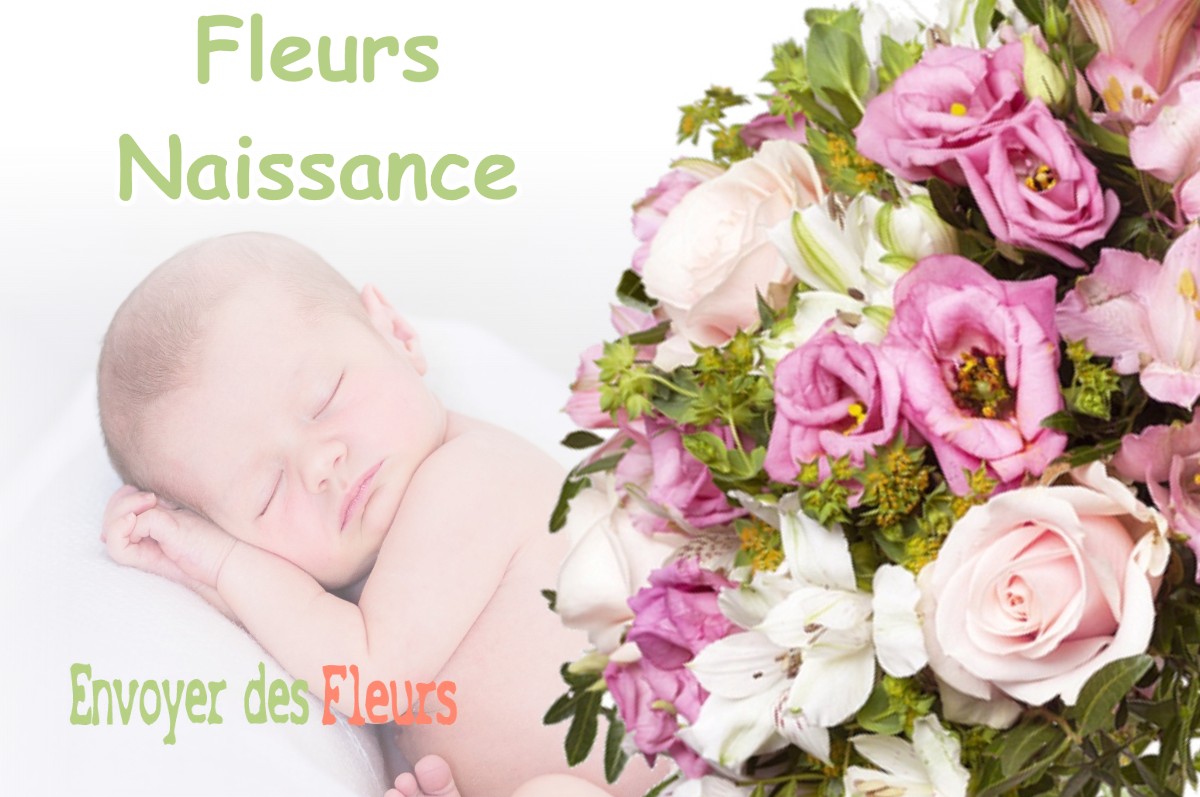 lIVRAISON FLEURS NAISSANCE à VESCLES